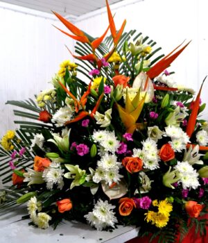 Church & Events Decoration with Tropicals