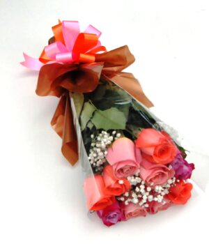 12 Roses Pastel Colours Gift Wrapped