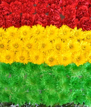 Wreath in colour of choice