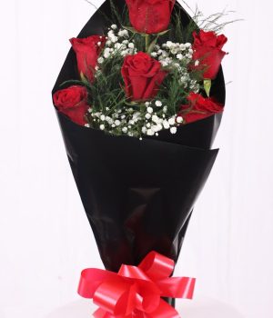 Six Reasons I Love You - Red Roses (6)..